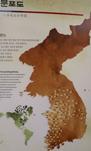 ６年根高麗人参契約農家、　農地はソウルから韓国南部にかけて